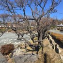 김해건설공업고등학교 이미지