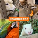 (주)인천1339에이엠에스 | 인천 실내동물원 아이와 함께 다녀온 쥬벅스 온갖동물들 다 있어요 실내데이트코스로 추천