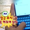 어나더하이 | 알모네이쳐 하이에피타이징 먹은 우리집 고양이 리뷰