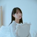 설아 카카오 검색결과