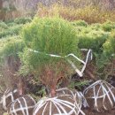 옥희농장 이미지