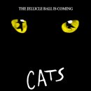 (공연) 캣츠 오리지널 내한공연1 이미지