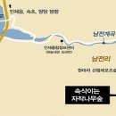 자작나무숲길