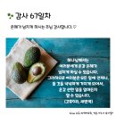 감사의 삶 3기 67일차(3.7) 이미지