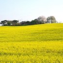 부은농장 이미지