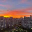 남구-003 이미지