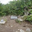 홍천(양양) 이미지