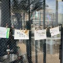 레인 3020 (Lane 3020) 이미지