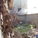 사강우체국 이미지