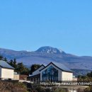 나우목장 이미지