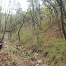 665회 일요걷기(4월4일) 부평삼거리역에서 만월산 숲길-도롱뇽계곡 관찰-만수산-숲길-장수천수변으로 향합니다 이미지