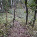 정선군 버들고개 이미지