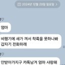 “1년 넘게 암 투병하다 여행가셨는데…” 울음바다 된 무안공항 이미지