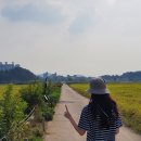 주란호프 | 프댕 9월 초중순 일상일기장