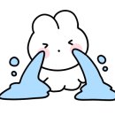 케이모터스 이미지