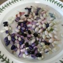 고모농장 이미지