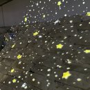 도림천 산책로3 이미지