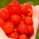 미주농장 이미지