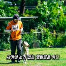 킁킁 스포츠경향
