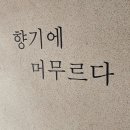 유일향 이미지