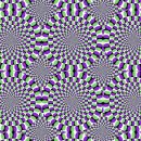 CW-2098-01 이미지