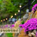 숲속다람쥐펜션 이미지