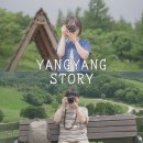 시선목장 | 강원도 1박2일 여행 코스 | 대관령 양떼목장부터 신상 양양 플라트 더 각 호텔 낙산해수욕장 후기