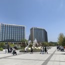 서울공항초등학교 이미지