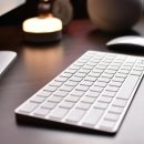 2024 <우리시대 장인展 : 숨결비결> | [내돈내산] 애플 매직마우스 2024 후기 | USB-C Apple Magic Mouse 장단점 솔직 리뷰