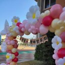 인동초등학교 학예발표회 축제포토존 축제풍선장식 구미풍선 구미이벤트 하늘이벤트 이미지