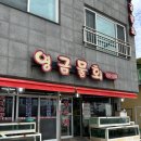 속초맛집 영금물회 내돈내산 후기