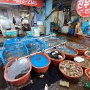 진우수산 이미지