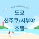 블러섬랜드 | 신주쿠 vs 시부야 호텔, 어디가 정답? 실패 없는 도쿄 호텔 추천