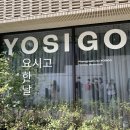 프레임그라운드 건축사사무소 | E:일상의 영감, 서울 전시회, 요시고YOSIGO 사진전