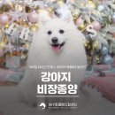 신창동물병원 - 광산구 신창로 125 | 신창동물병원