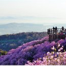 달빛동화마을 이미지