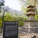 향성 이미지
