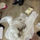인주타일 | 숨고 청소업체 내돈내산 솔직후기. (리뷰 삭제, 페이백 함정)