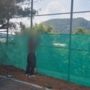 파평체육공원(야구장) 이미지