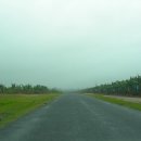 인출농장 이미지