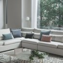 제주에내집 이미지