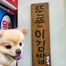 뚠뚠이김밥분당