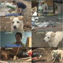 아롱이네 농장 이미지