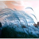 전원일기마을 이미지