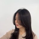 스타일리끄W