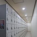 단풍나무짐 이미지