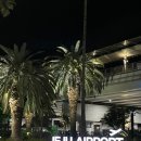 플루 | 09 🕊️ 제주 웨딩 스냅 ‘멜리플루어스’ 촬영 후기 🤍 | 비 와도 즐겁게 촬영하는 법 🌧️