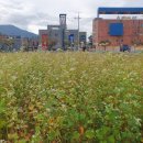 유(U)모텔 이미지