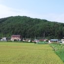 비봉내마을 이미지