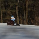 호남정맥10차_추월산(마라톤-산행-사진) &amp; GPS data 이미지